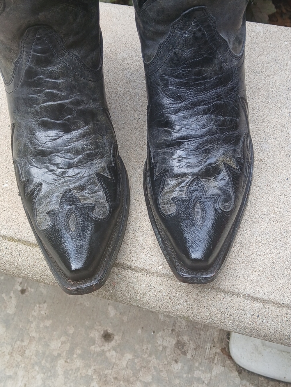 Corral Women's Eagle Sequin Inlay Snip Toe Cowgirl Boots model R1003, Sz 9.5 - Picture 3 of 12